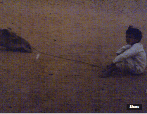 azzedine saleck photo