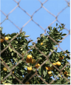 Capture d’écran 2013-09-24 à 20.26.25