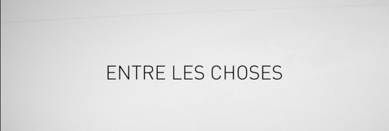entre les choses