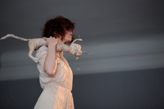 ALICE_1_Mohamed Fathallah