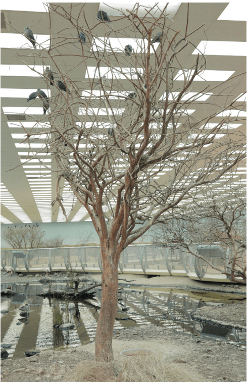 Capture d’écran 2015-06-10 à 19.34.48